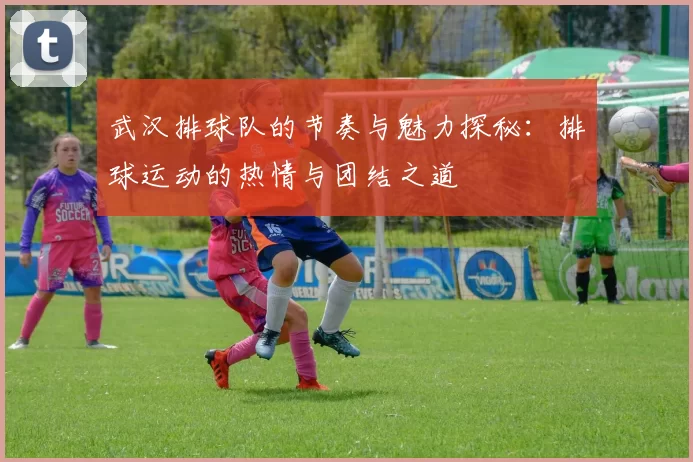 武汉排球队的节奏与魅力探秘：排球运动的热情与团结之道