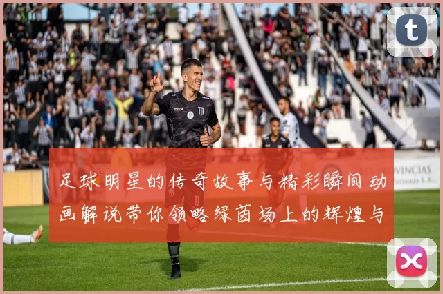 足球明星的传奇故事与精彩瞬间动画解说带你领略绿茵场上的辉煌与激情