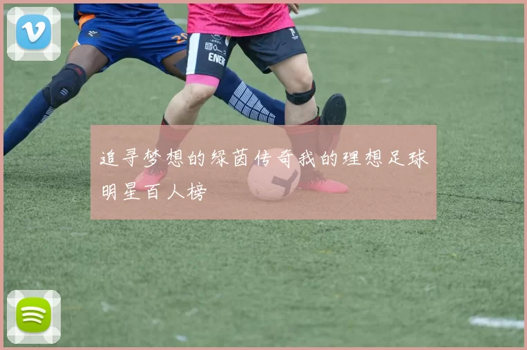 追寻梦想的绿茵传奇我的理想足球明星百人榜