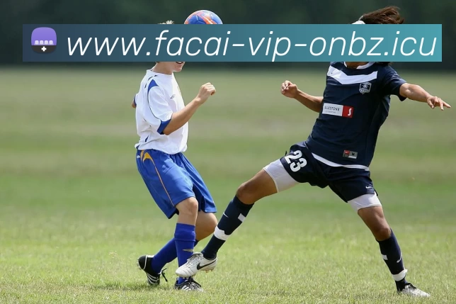 米兰体育服务体系